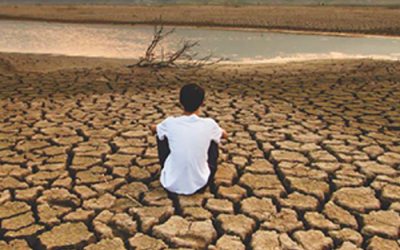 The challenge of using pension funds to fuel green finance