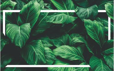 Providing fund solutions that are future fit through ESG